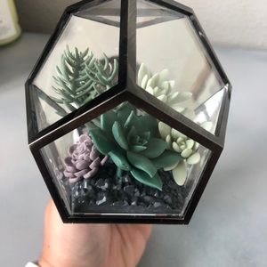 Gently used Bath & Body works succulent Wallflower